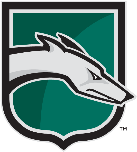 Loyola-Maryland Greyhounds 2002-Pres Alternate Logo diy fabric transfer
